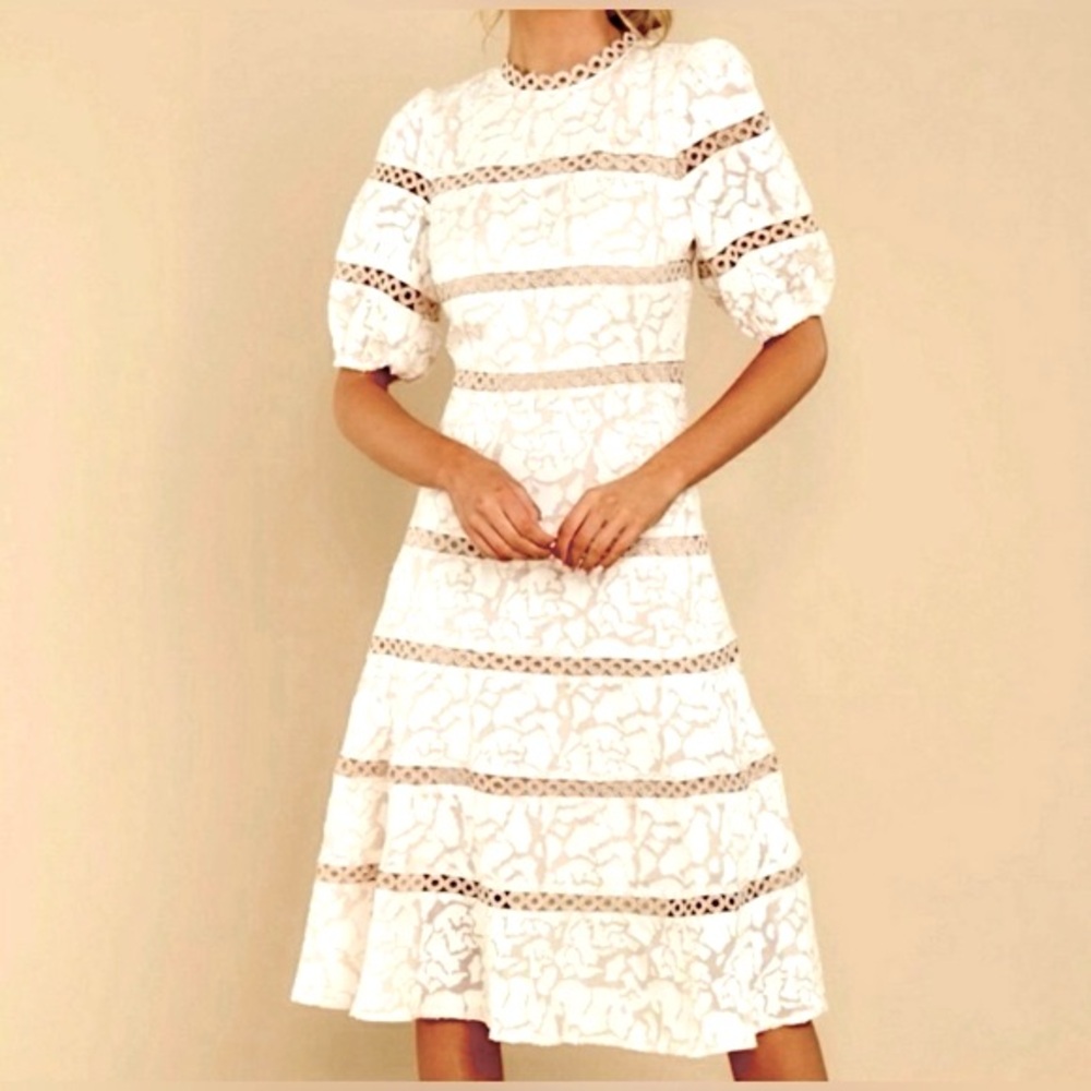 Champagne and Strawberry Anthropologie lace French dot dress